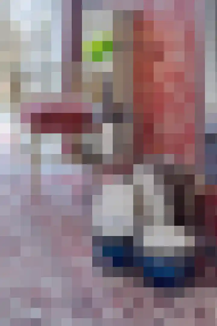 Peregaard 38 Elst thumbnail 39
