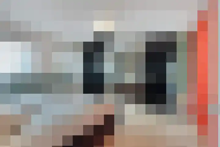 Peregaard 38 Elst thumbnail 41