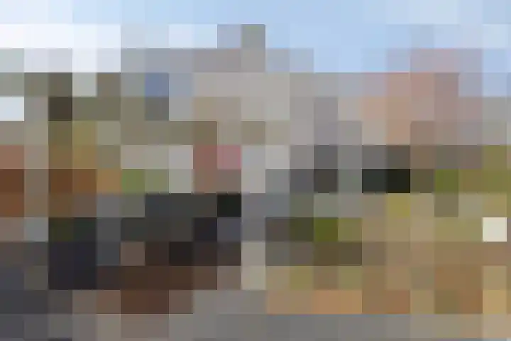 Peregaard 38 Elst thumbnail 5