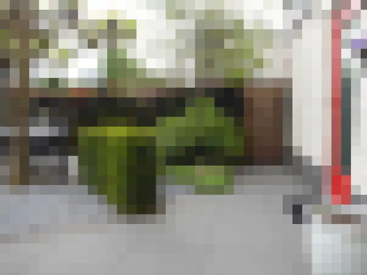 Peregaard 38 Elst thumbnail 61