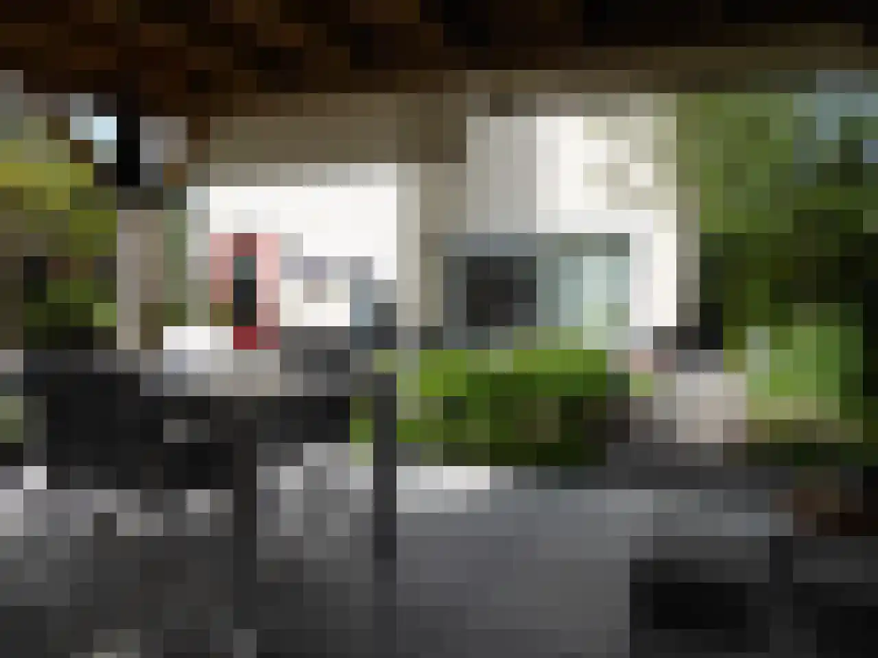Peregaard 38 Elst thumbnail 62
