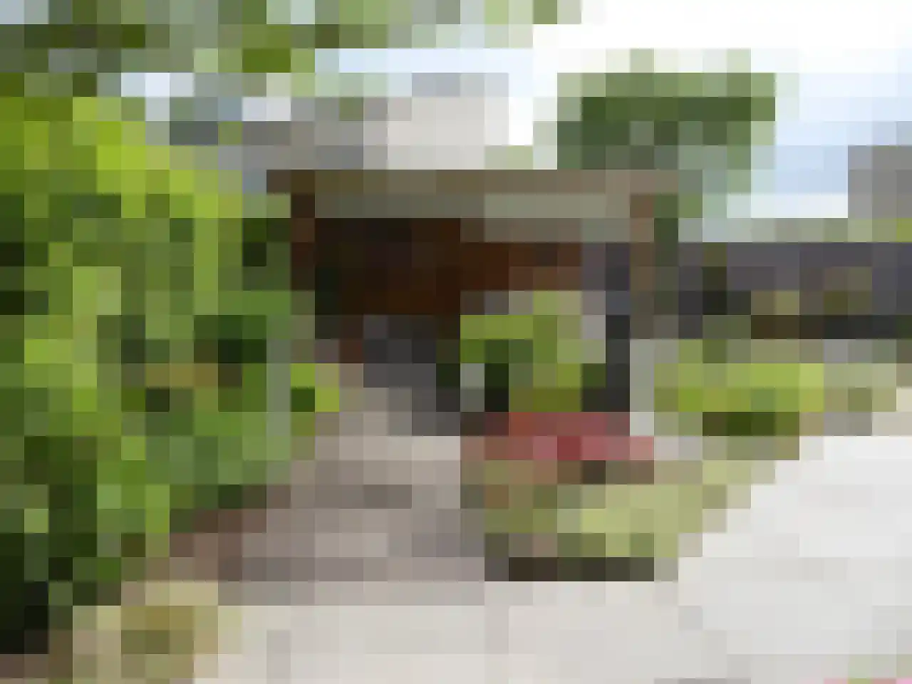 Peregaard 38 Elst thumbnail 63