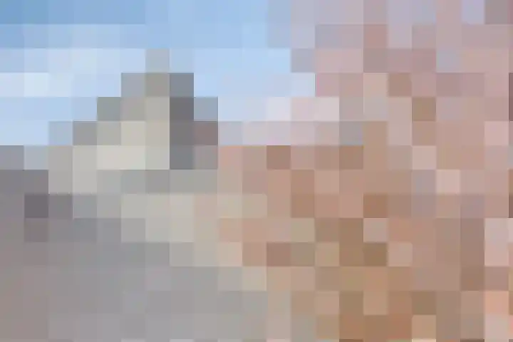Peregaard 38 Elst thumbnail 67