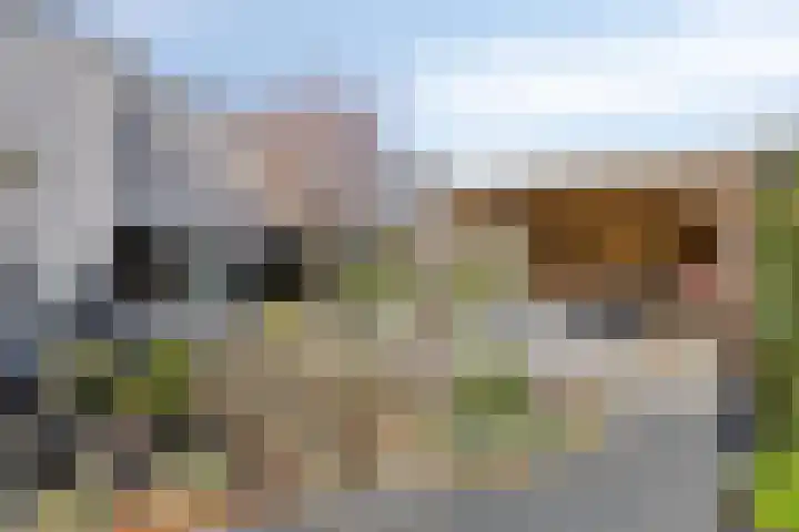 Peregaard 38 Elst thumbnail 9