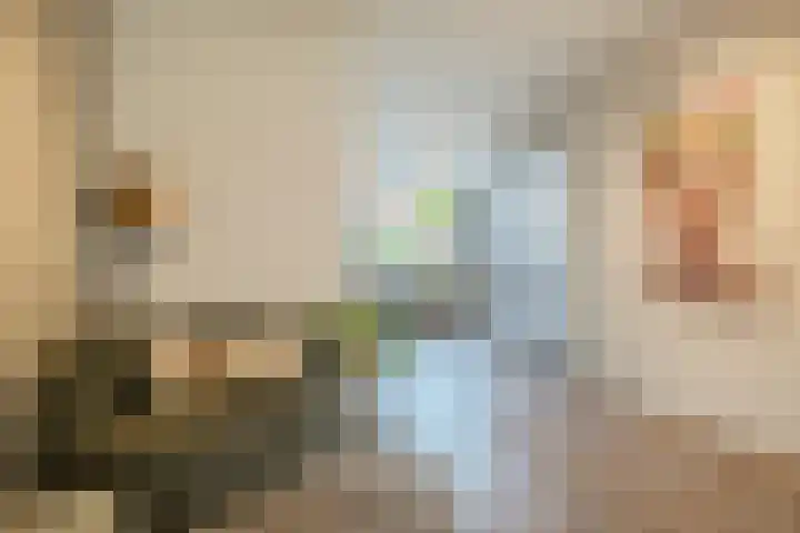 Peregrijn 17 Geldrop thumbnail 10