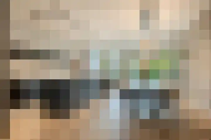 Peregrijn 17 Geldrop thumbnail 11