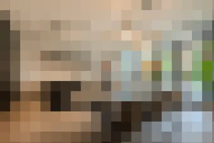 Peregrijn 17 Geldrop thumbnail 12