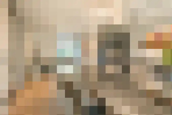 Peregrijn 17 Geldrop thumbnail 13