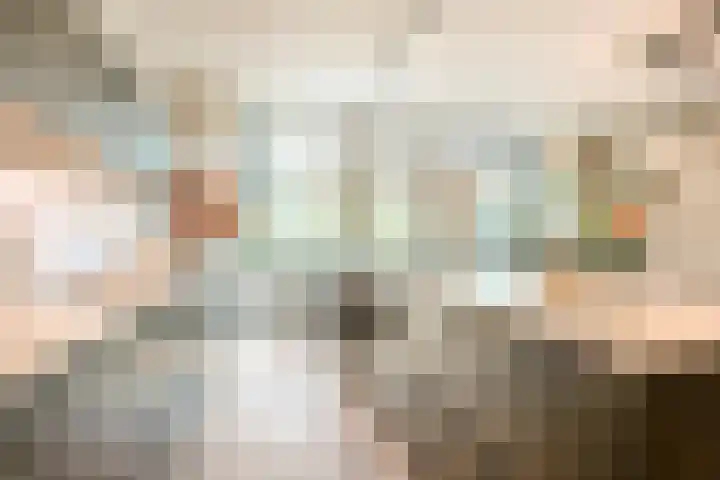 Peregrijn 17 Geldrop thumbnail 15