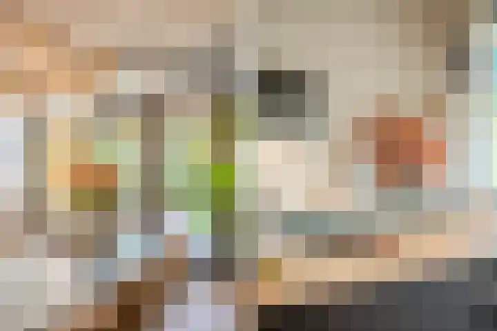 Peregrijn 17 Geldrop thumbnail 16