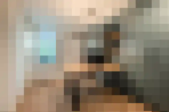 Peregrijn 17 Geldrop thumbnail 19