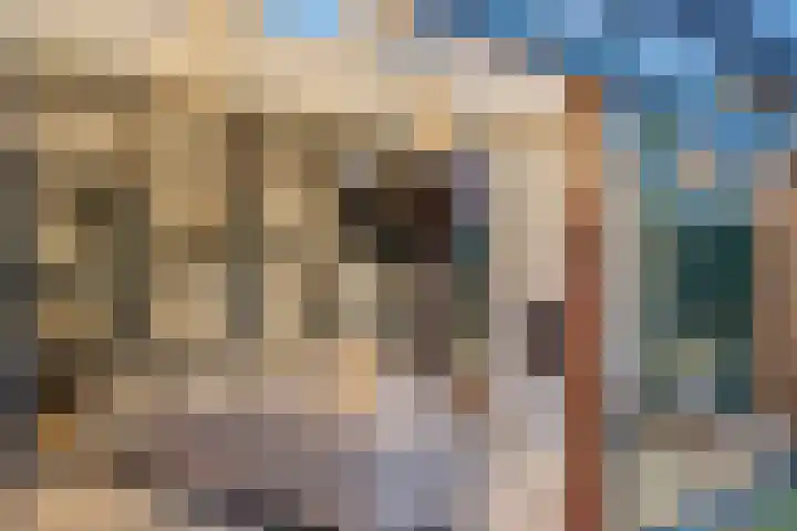Peregrijn 17 Geldrop thumbnail 20