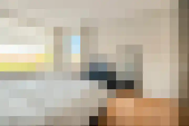 Peregrijn 17 Geldrop thumbnail 24