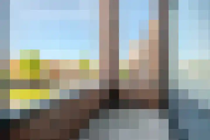 Peregrijn 17 Geldrop thumbnail 26