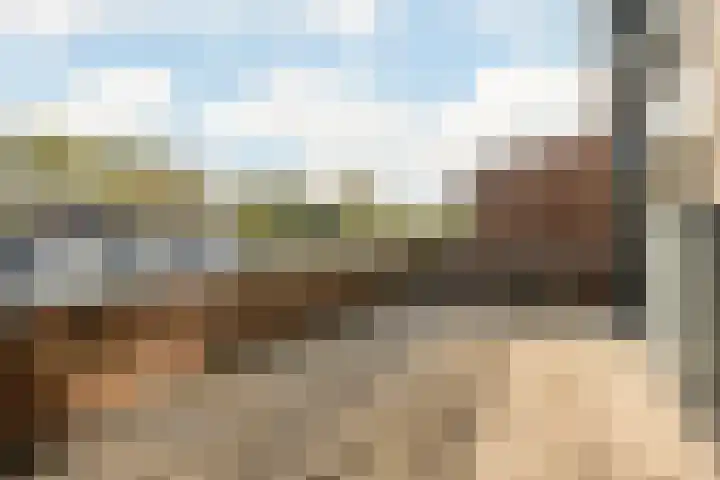 Peregrijn 17 Geldrop thumbnail 29