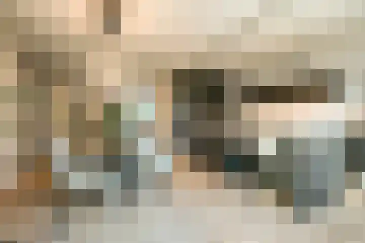 Peregrijn 17 Geldrop foto 3