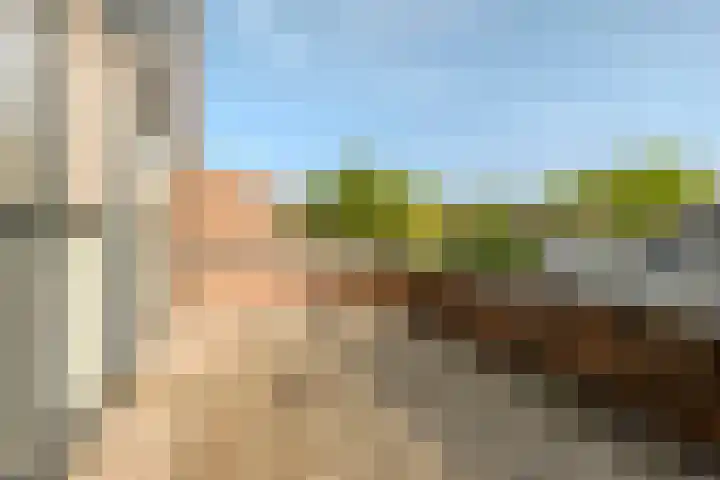 Peregrijn 17 Geldrop thumbnail 30