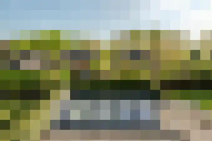 Peregrijn 17 Geldrop thumbnail 31