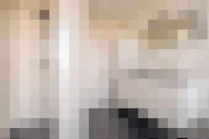 Peregrijn 17 Geldrop thumbnail 33
