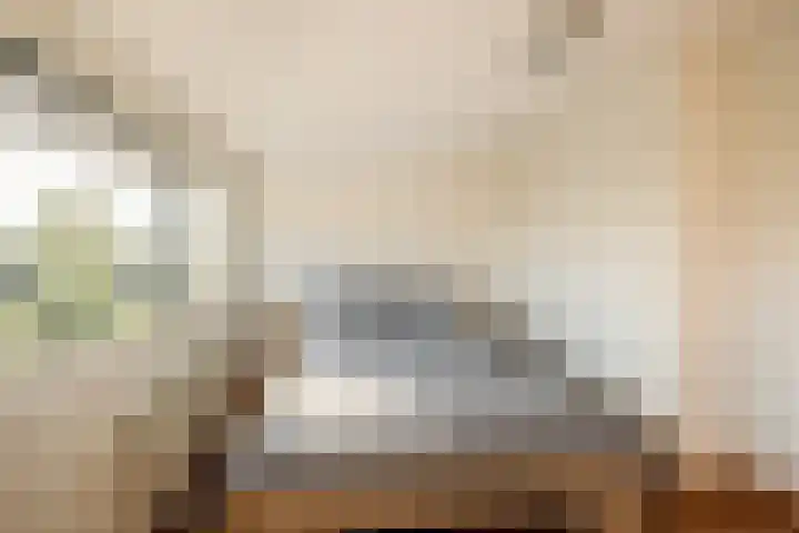 Peregrijn 17 Geldrop thumbnail 38