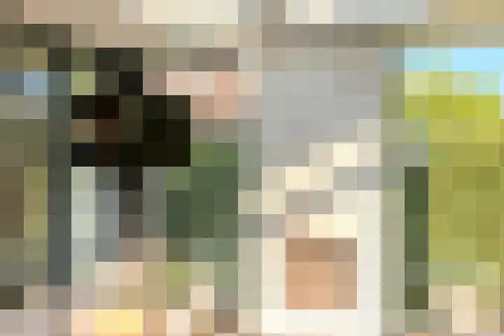 Peregrijn 17 Geldrop thumbnail 43