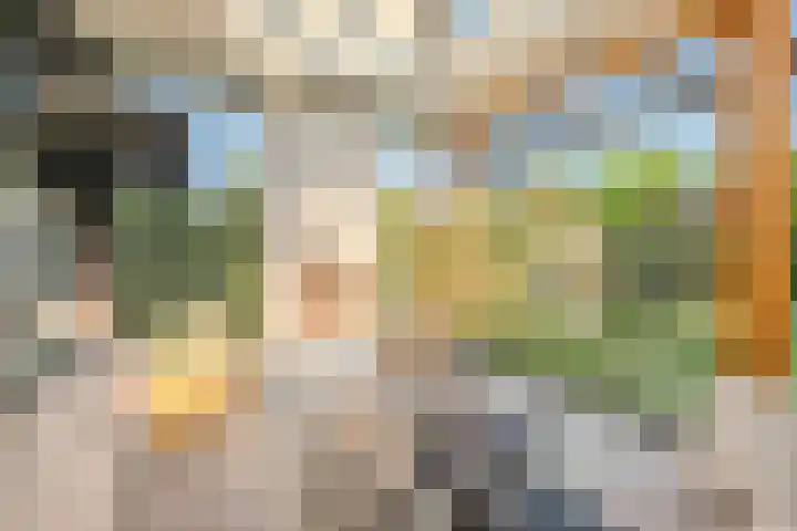 Peregrijn 17 Geldrop thumbnail 44