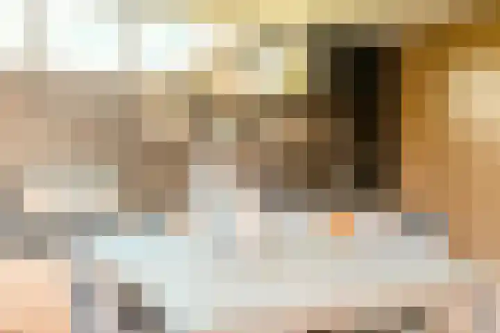 Peregrijn 17 Geldrop thumbnail 45