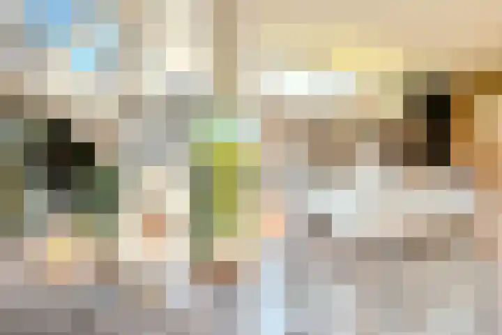 Peregrijn 17 Geldrop thumbnail 46
