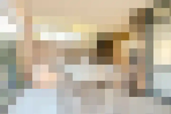Peregrijn 17 Geldrop thumbnail 47