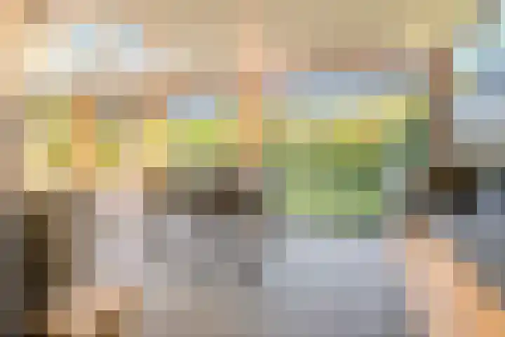 Peregrijn 17 Geldrop thumbnail 48