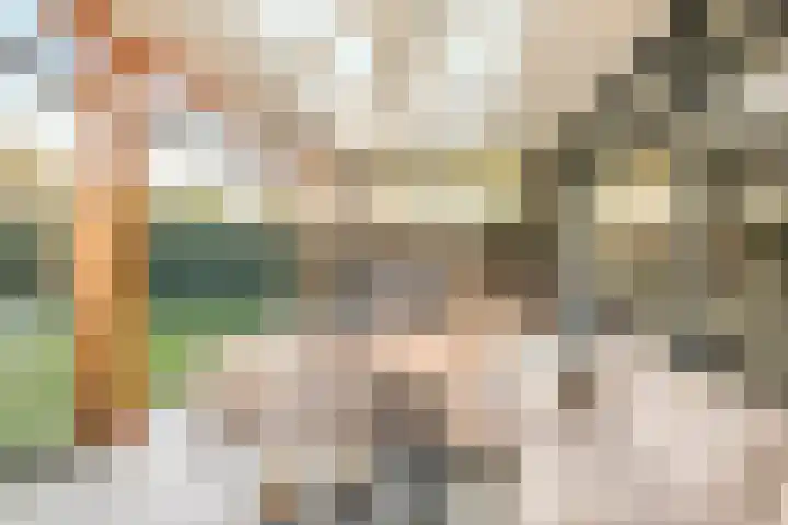 Peregrijn 17 Geldrop thumbnail 49