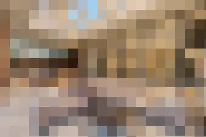 Peregrijn 17 Geldrop thumbnail 50