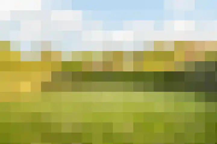 Peregrijn 17 Geldrop thumbnail 51