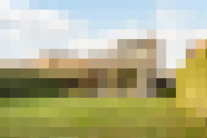 Peregrijn 17 Geldrop thumbnail 54