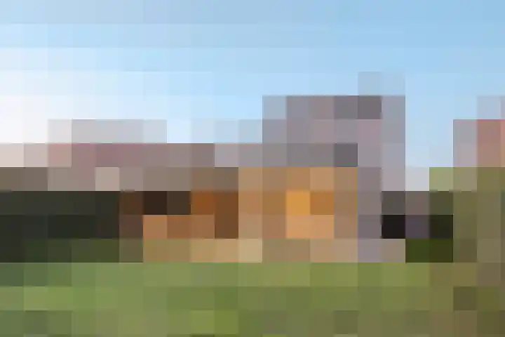 Peregrijn 17 Geldrop thumbnail 55