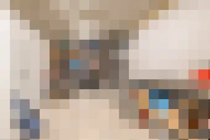 Peregrijn 17 Geldrop thumbnail 56