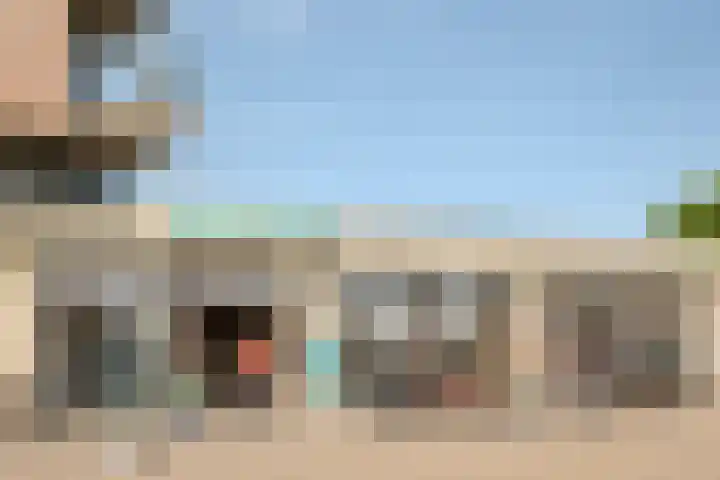 Peregrijn 17 Geldrop thumbnail 57