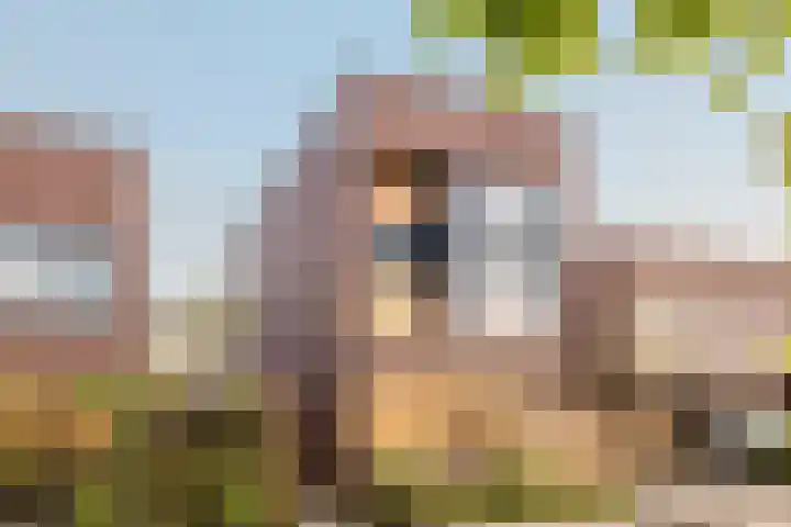 Peregrijn 17 Geldrop thumbnail 6