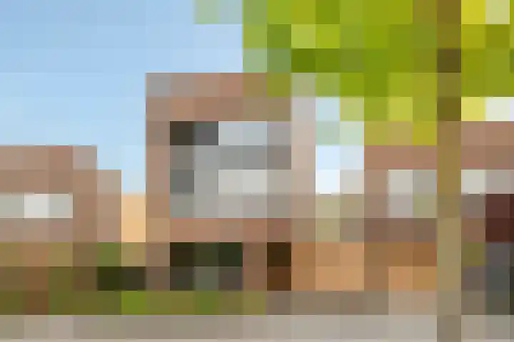 Peregrijn 17 Geldrop thumbnail 60