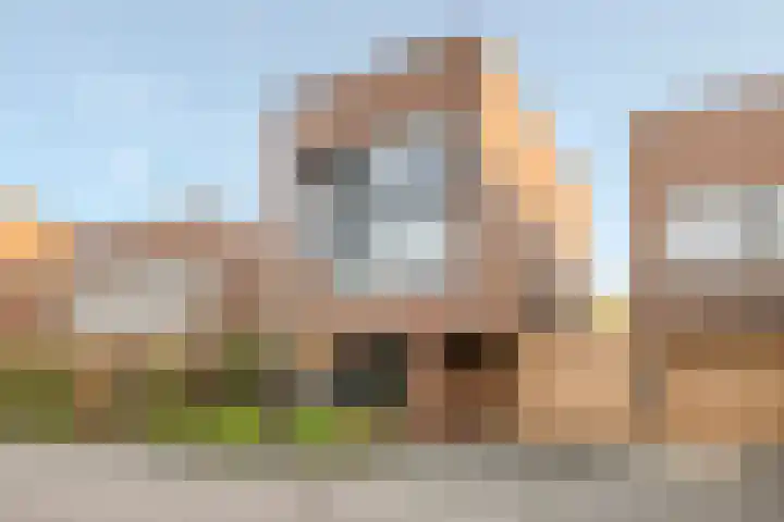 Peregrijn 17 Geldrop thumbnail 61