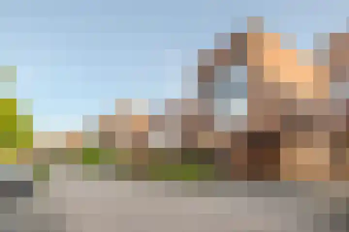 Peregrijn 17 Geldrop thumbnail 62