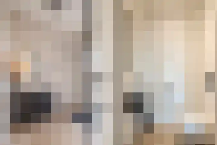 Peregrijn 17 Geldrop thumbnail 7