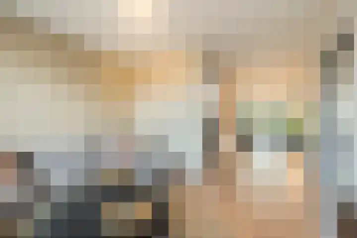 Peregrijn 17 Geldrop thumbnail 9