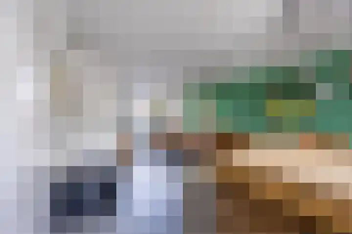 Perelaar 1 Veghel thumbnail 14