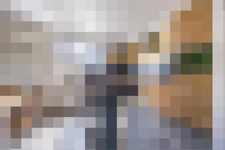 Perelaar 1 Veghel thumbnail 15