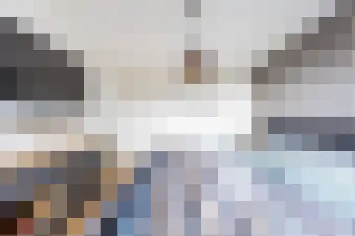 Perelaar 1 Veghel thumbnail 18