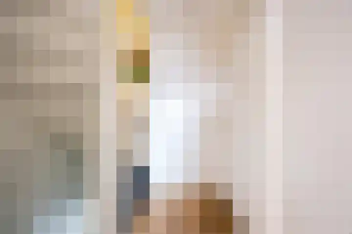 Perelaar 1 Veghel thumbnail 19