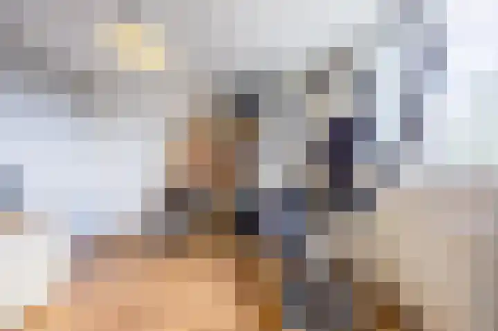 Perelaar 1 Veghel thumbnail 21