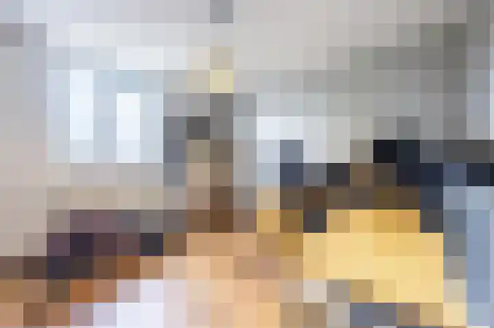Perelaar 1 Veghel thumbnail 22