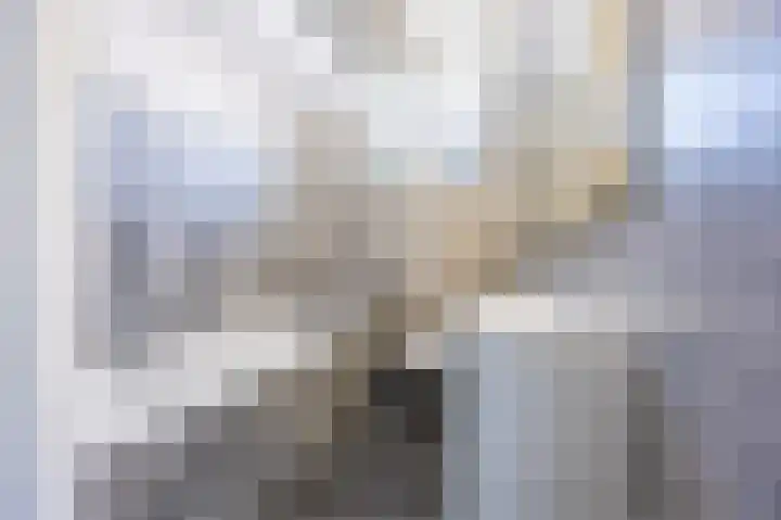 Perelaar 1 Veghel thumbnail 27
